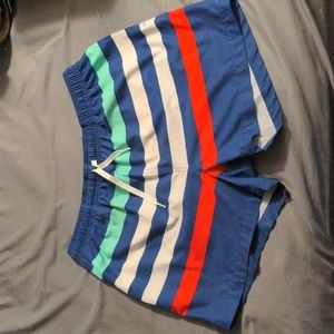 Chubbies Me Likey the Stripey 4" Stretch
